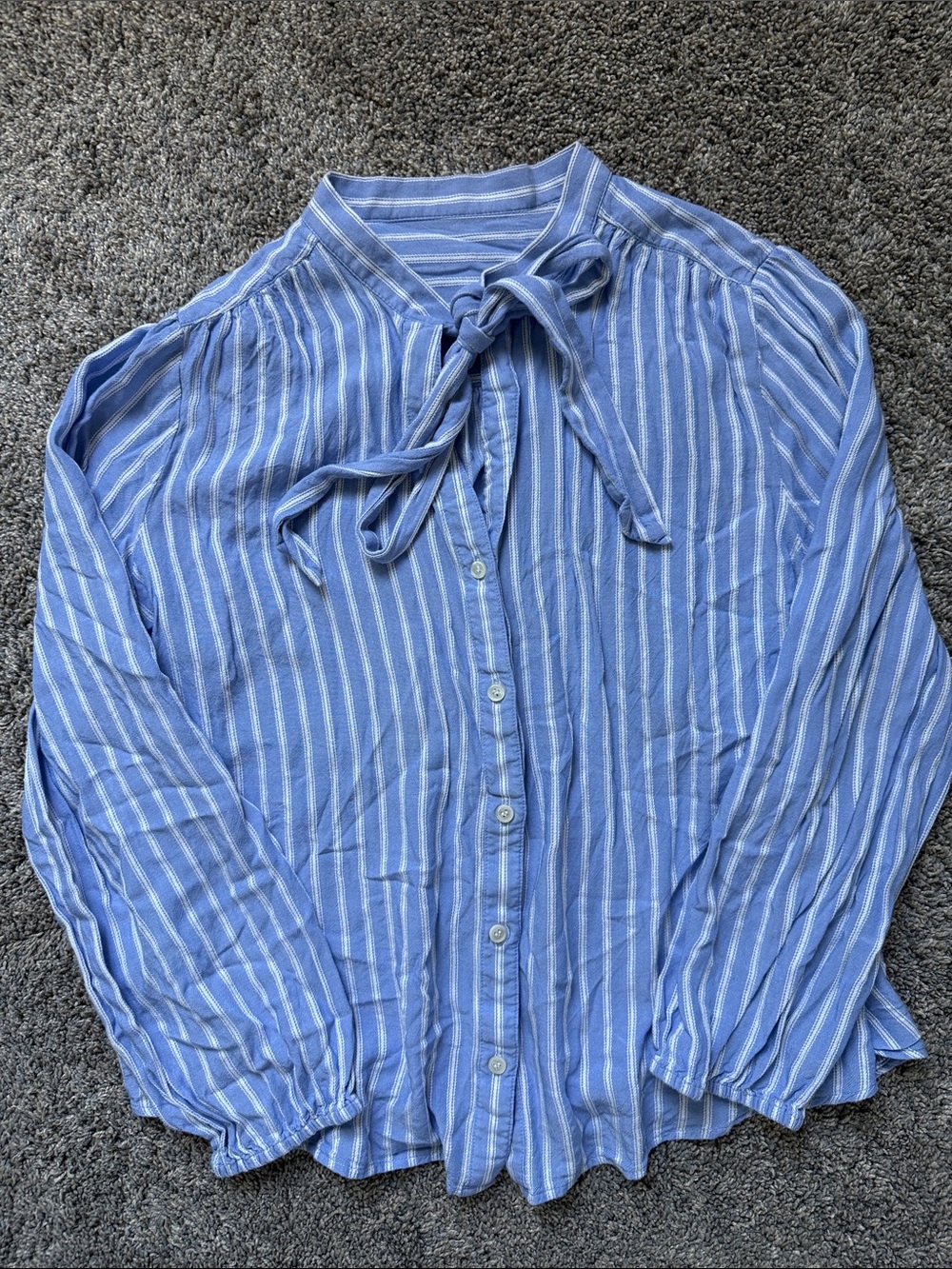 JCrew Blue Striped Button-Front Shirt with Neck Tie